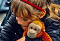 Tot reunited with toy after heart-warming 550-mile journey