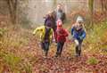 Top woodland walks for 'forest bathing'