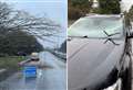 Car windscreen smashed as tree falls onto major road