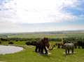 A mammoth addition to Port Lympne