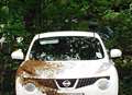 Un-bee-lievable – second car swarmed by insects