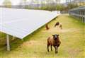 Bid for 245-acre solar farm on green belt a ‘special’ case