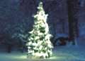 Town green's Christmas tree stolen