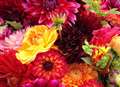 Flowers to spread joy in Sevenoaks