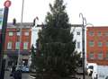 Is this the worst Christmas tree in Kent?
