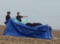 Body found floating in water at seaside resort