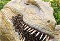 Un-bee-lievable! Swarm sets up home in velociraptor's jaws