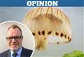 ‘I didn’t want to come nose-to-nose with a jellyfish’