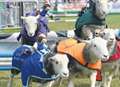 Second day of Kent County Show gets underway
