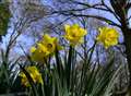 Spring is sprung with warm, sunny weather predicted to last