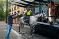 Key workers and their horses pull up for food at five-star hotel drive-through