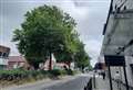 'Ludicrous' idea to cut down row of trees axed