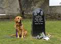 Animals in war remembered