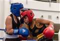 Boxing clubs come together for latest show