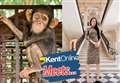 The chimpanzee saviour dubbed 'Carole Baskin' by trolls