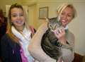 Family reunited with cat after miraculous journey