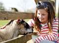 New life for farming attraction