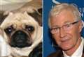 Paul O'Grady issues warning after 'heartbreaking' dog theft 