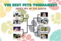 Vote in June's Kent Pet's Tournament