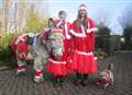 Family donkey raises funds for air ambulance