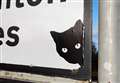 The mystery of black cats on Kent road signs