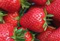 Strawberry variety sees sales of 60m last year
