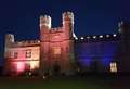 Landmarks turn pink and blue to support bereaved families