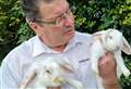 Rabbits at centre of row have new home 