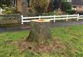 Anger after five trees felled 'unnecessarily'