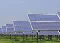 Wildlife concerns over UK's biggest solar farm