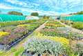 Garden centre goes up for sale