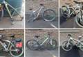 Police search for owners of 'stolen' bikes