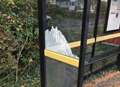 Up to 18 bus stops smashed in overnight vandalism spree
