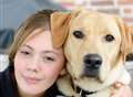 Life-saving labrador Scooby in line for Crufts prize
