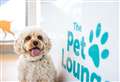The P&O Ferries Pet Lounge opens its doors