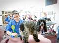 Pooches needed for dog grooming students
