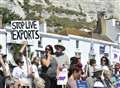 Protesters demand end to live animal exports