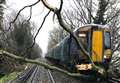 Rail passengers trapped after train hits tree