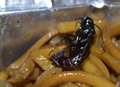 Disgusted diner 'finds bug in Chinese takeaway'