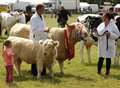 Country life at Kent Show 2014