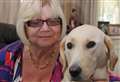 ‘I'm scared I'll lose my guide dog after Doberman attack'