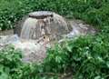 Fat blockage sees raw sewage pumped out over woodlands