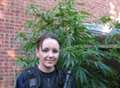 Cannabis crop discovered in garden