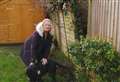 'Out-of-control hedge burst through my fence - and it's all council's fault'