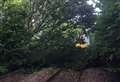 Rail services delayed by fallen tree