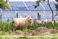 Only 50 people attend consultation event on solar farm