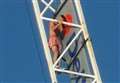 Man climbs crane prompting major emergency response