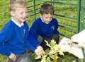 Pupils reap rewards of school focus on farming 