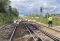 Flock of sheep cause rail chaos