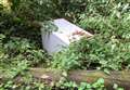 Bin firm takes six months to clear fly-tipped fridge